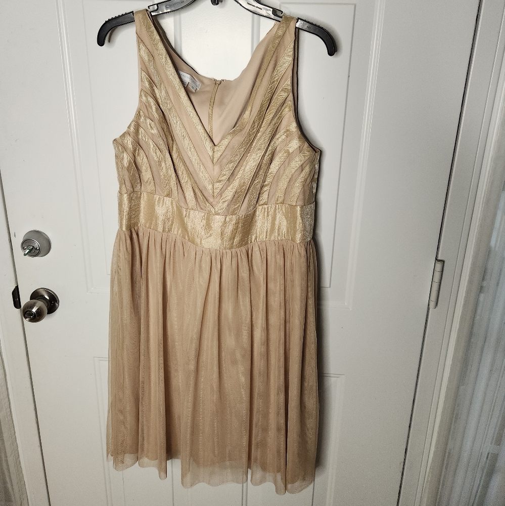 NWT London‎ Times Champagne Dress  Size 16